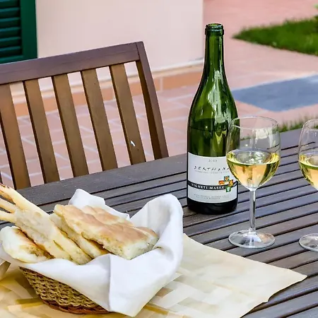 Pet-friendly Nel Centro Storico Di