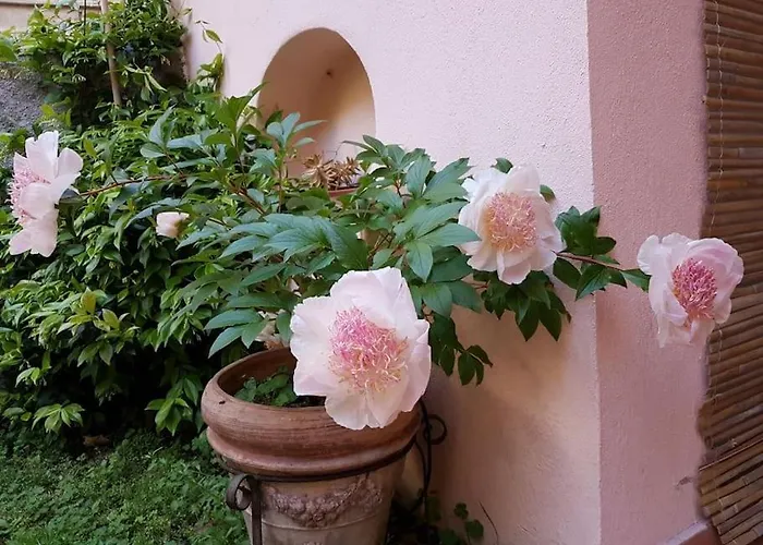 Pet-friendly Nel Centro Storico Di * 제노바