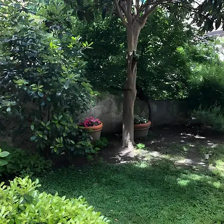 Pet-friendly Nel Centro Storico Di * Genua